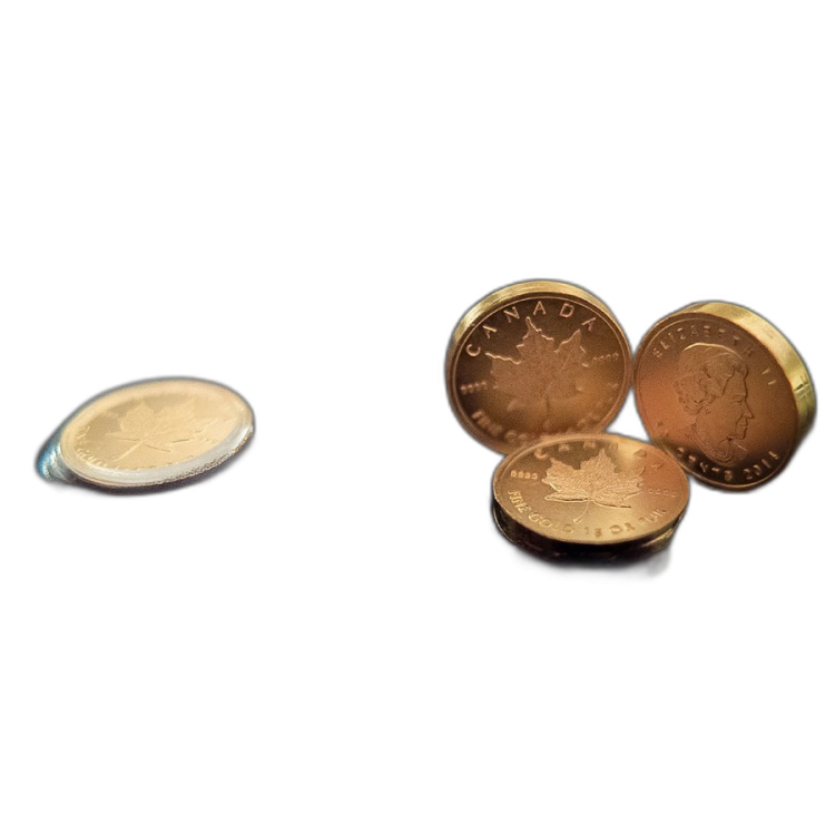1 Gram gouden Maple Leaf 2019 in Assay Card achterkant
