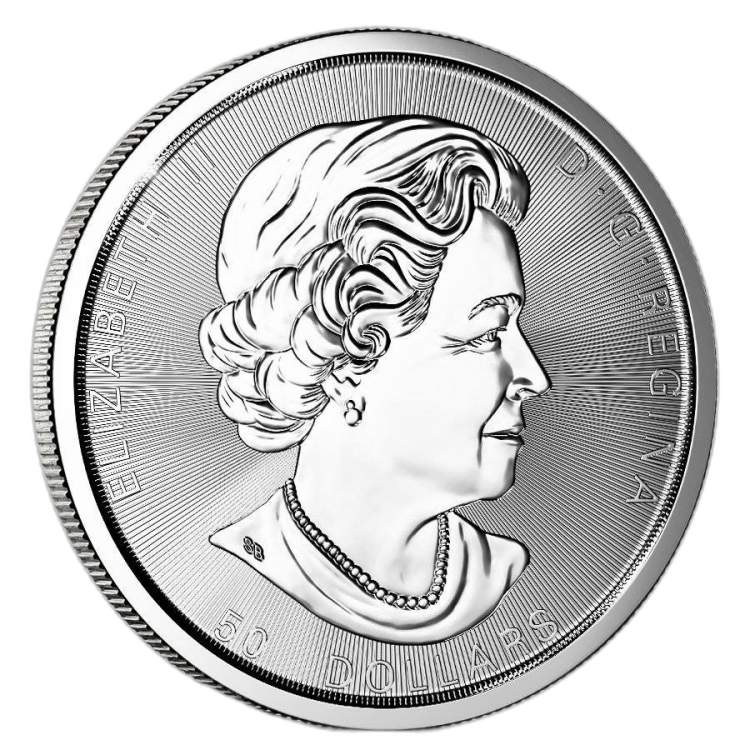 10 Troy ounce zilveren munt Magnificent Maple Leaf 2019 achterkant