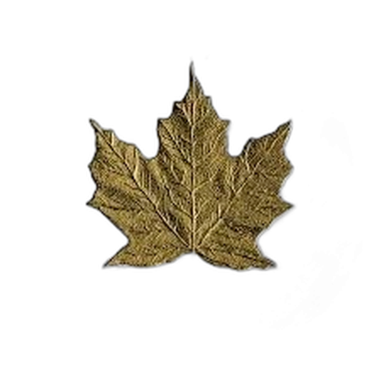 1 Troy ounce zilveren munt Maple Leaf 40th Anniversary verguld 2019 achterkant