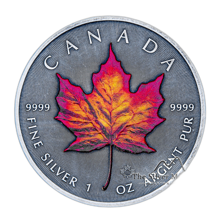 Canada Maple Leaf Four Seasons edition angle 5