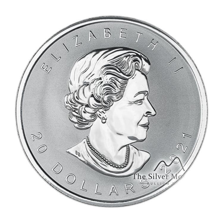1 troy ounce zilveren munt Super incuse Maple Leaf 2021 perspectief 4