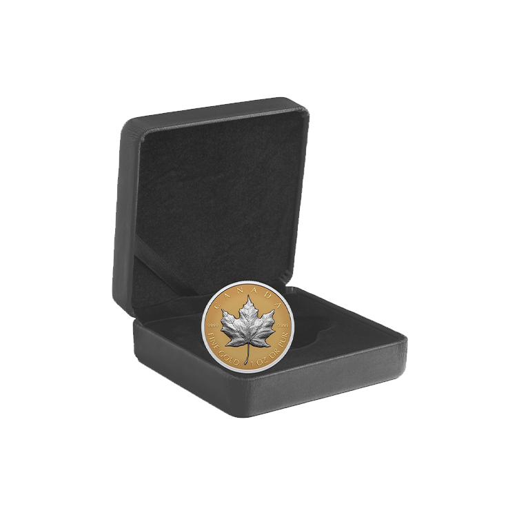 1 troy ounce gouden Maple Leaf 2023 proof perspectief 2