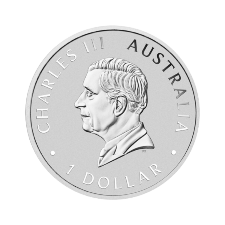 1 troy ounce zilveren Kookaburra munt 2024 perspectief 4