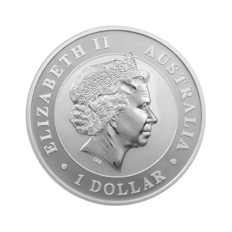 Kookaburra reverse 2010