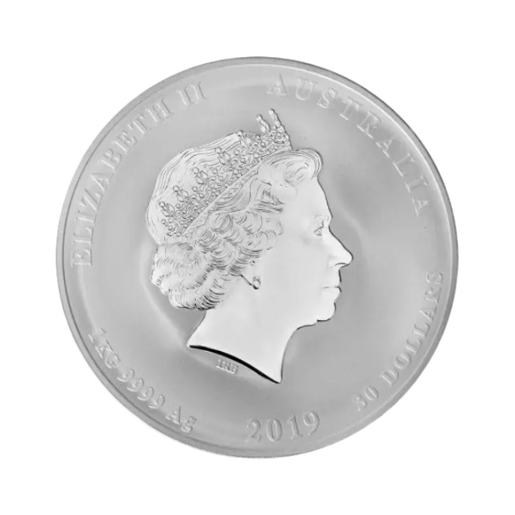 1 kilo silver Luanr Year of the Pig