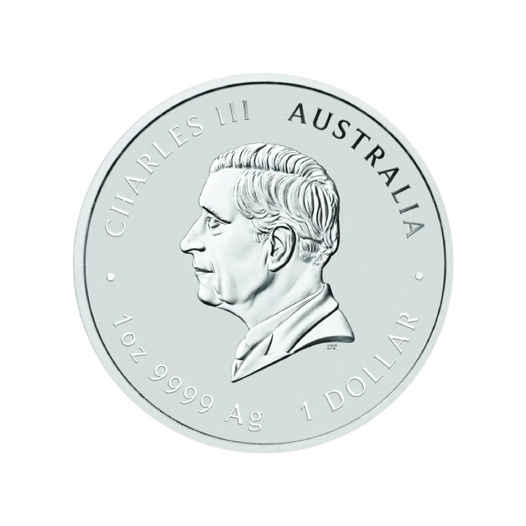 1 troy ounce Lunar III 2025 Zilver